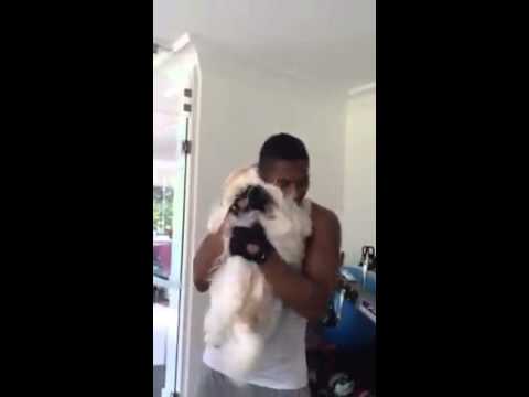 بالفيديو فالنسيا يرقص سلو مع كلبه