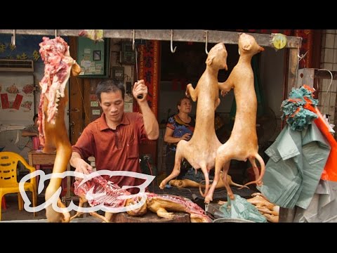 فيديو أسوأ قائمة طعام في العالم