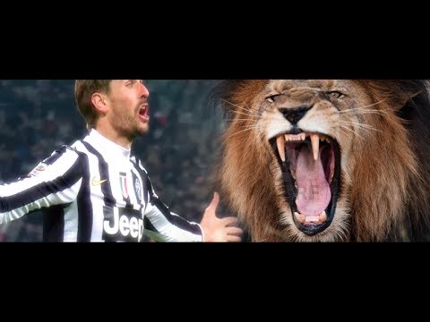 شاهد يوفنتوس يطلب 11 مليون إسترليني مقابل بيع يورنتي