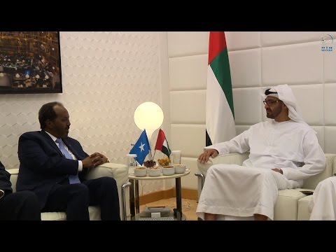 شاهد ولي عهد أبو ظبي يستقبل الرئيس الصومالي