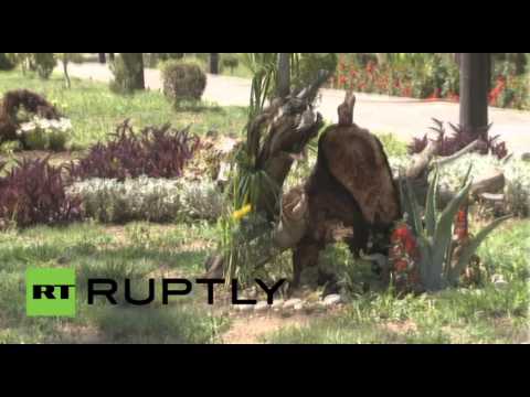 افتتاح حديقة على شرف الزعيم الكوري الشمالي في دمشق
