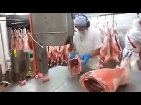بالفيديو أسرع طريقة لتقطيع لحوم الأضاحي