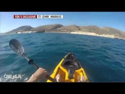 شاهد مواجهة شرسة بين قرش ضخم وشاب