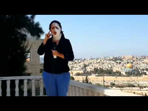 شاهدالمراسلة الفلسطينية هناء محاميد تظهر على الهواء مصابة في وجهها