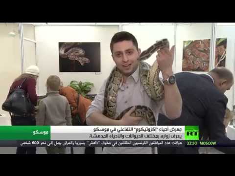 شاهد معرض أحياء إكزوتيكوم التفاعلي في موسكو