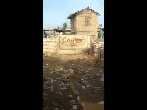 بالفيديو خناقة بـ الشوم  في سوق مواشي الشرقية