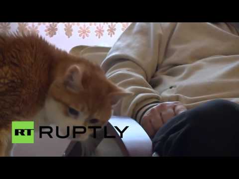 غارفيلد أكبر قط معمر في أوروبا