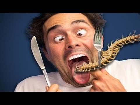 بالفيديو أغرب 10 حشرات في العالم