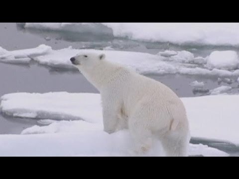 شاهد العام 2015 الأكثر حرارةً منذ نحو 100 عام