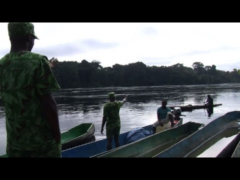شاهد حرّاس الغابات في الغابون يخوضون حربًا غير متكافئة