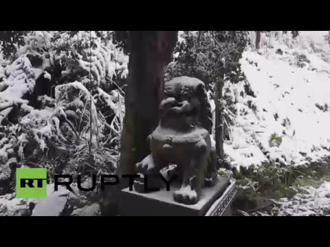 شاهد وفاة 15 شخصًا جراء موجة البرد في تايوان