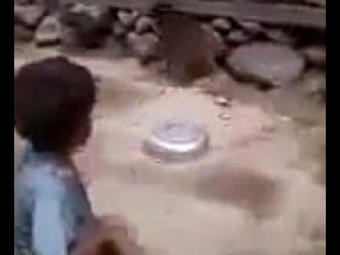 بالفيديو خناقة طاحنة بين طفل وقرد