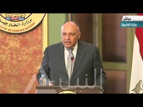 اتفاق كويتي مصري على أهمية الحل السياسي في سورية
