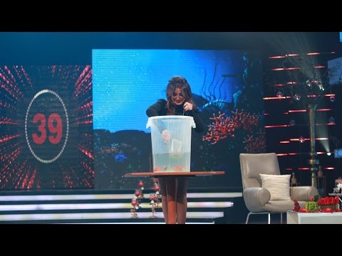 شاهد وصلة رقص لشذى حسون