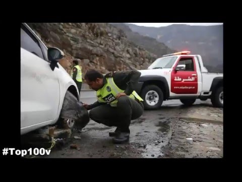 شاهشاهد الرياح تقتلع الأشجار والسيول تحول الشوارع لأنهارد الرياح تقتلع الأشجار والسيول تحول الشوارع لأنهار