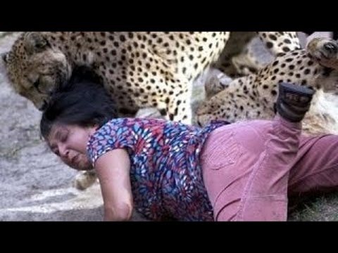 اقوى المقاطع لهجوم حيوانات مفترسة على البشر
