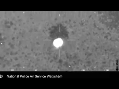 بالفيديو كلب يحرس صاحبه العالق في الطين