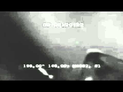 بالفيديو ظهور وحش غامض يسبح في مياه القارة القطبية الجنوبية