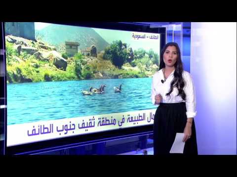 بالفيديو امرأة جزائرية تبارز رجلاً وتتفوق عليه