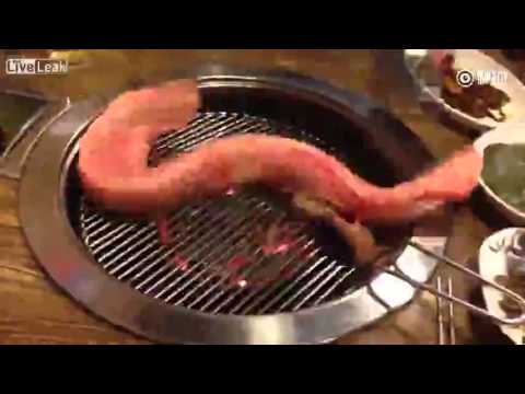 شاهد مطعم كوري يشوي ثعبان بحر حيًا أمام الزبائن