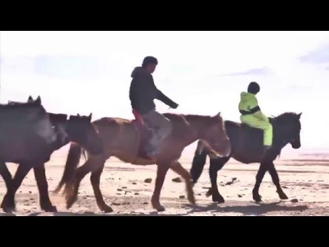 شاهد حلم الفرسان الأطفال في منغوليا