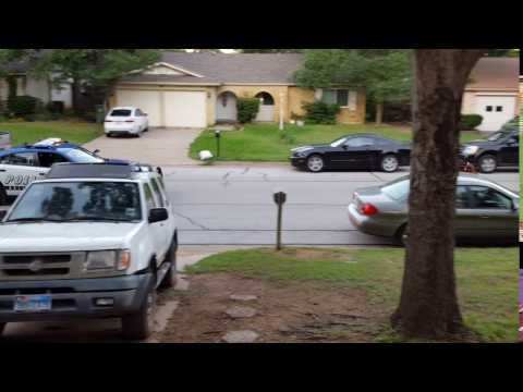 3 سيارات شرطة وشاحنة تطارد بقرة