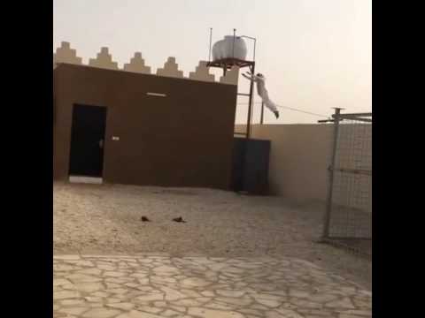 شاهد لحظة هروب شاب من مطاردة نمر