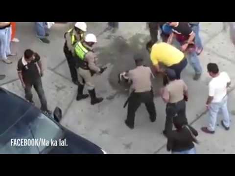 فيديو معركة شرسة بين كلبين