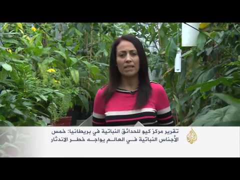 خمس الأجناس النباتية في العالم معرض للانقراض