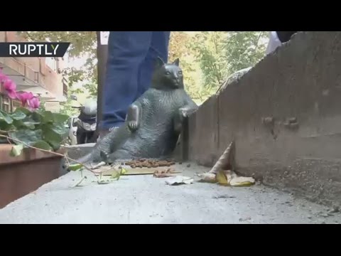 بالفيديو تمثال لأشهر قط تركي في إسطنبول