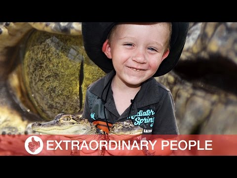 شاهد غا غا أصغر مصارع تماسيح في العالم