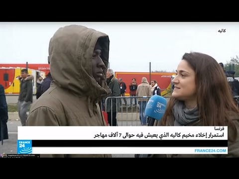 لماذا يفضل المهاجرون اللجوء إلى بريطانيا