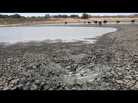 بالفيديو ضحايا ارتفاع درجات الحرارة أكثر من ضحايا الحروب