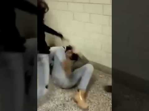 بالفيديو  مشاجرة عنيفة بالركلات وشد الشعر بين فتاتين