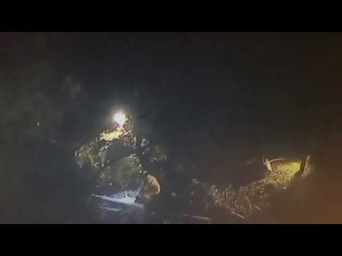 شجرة عملاقة تحول حفل الزفاف إلى مأتم