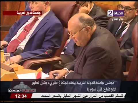 شاهد سامح شكري يؤكّد أن مصر أوصت بتوحيد الأراضي السورية