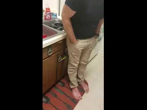 رجل يتكلم مع القطط فترد عليه