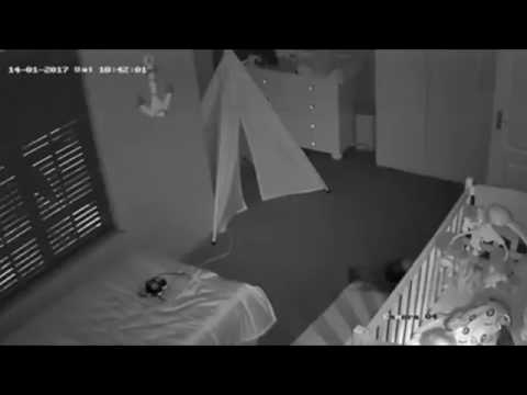 رجل ينتقم من صديقته السابقة برمي حيوانها في الحمام