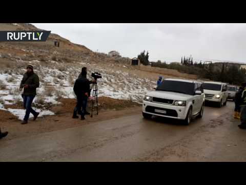 النمر أوسكار يهرب من السيرك في صقلية الإيطالية